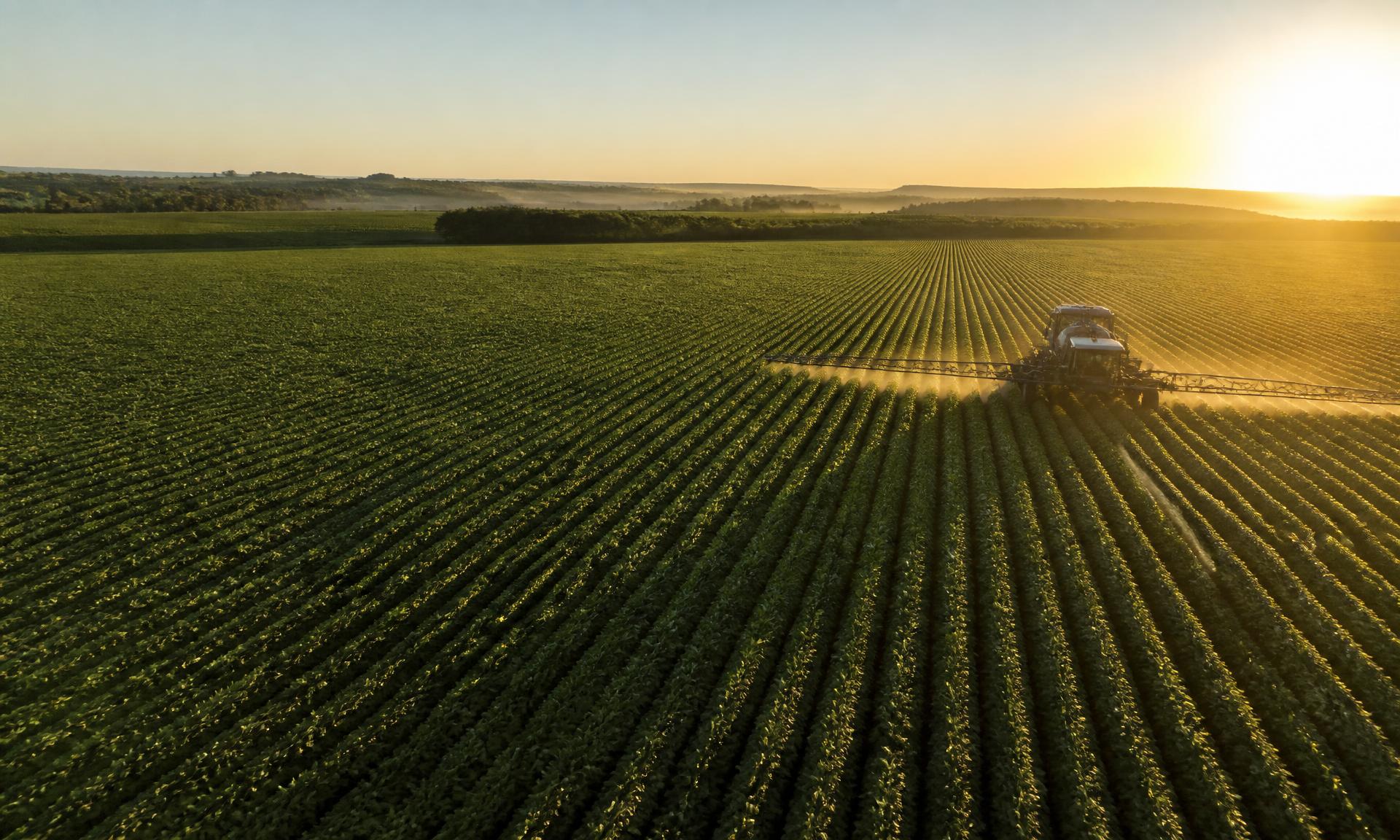 Plantação brasileira vista do alto ao amanhecer, com tecnologia agrícola em operação